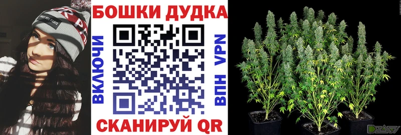 ссылка на мегу вход  Усть-Джегута  Конопля марихуана 